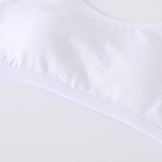 Cotton Student Underwear Bra Fixed Cup Wrapped Chest with Chest Pad Tube Top Development Period Anti-running Light Solid Color Underwear for Women