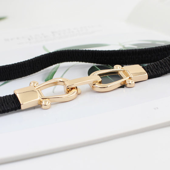 Elastic Thin Belt Women's Ins Style Decorative Golden Hook with Skirt Small Size Elastic Waist Chain 3 Sizes