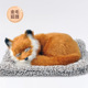 other product image