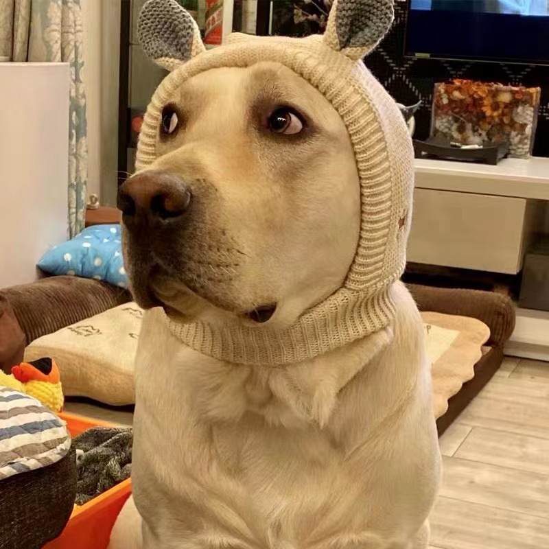 Hot New Pet Headgear Autumn and Winter Rabbit Ear Velvet Knitted Size Dog Warm Windproof Hat