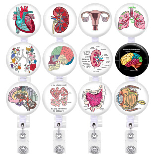 Heart, spleen, lung, brain, large intestine organ easy to pull button telescopic easy to pull ID button Doctor Nurse Badge button badge