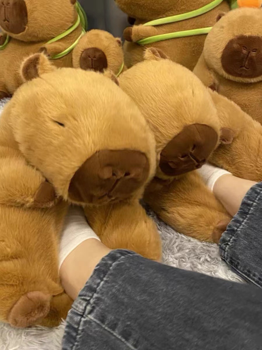 Tiktok hot teddy bear cotton slippers plush slippers kappabala slippers cartoon capybara cotton slippers wholesale