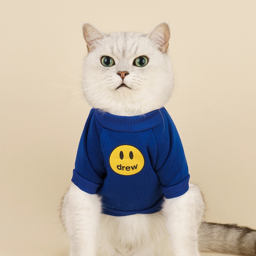 New pet clothes dog cat clothes fashion brand autumn and winter small milk cat anti-lint smiley face sweater cat autumn clothes