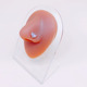L-Rod nose stud