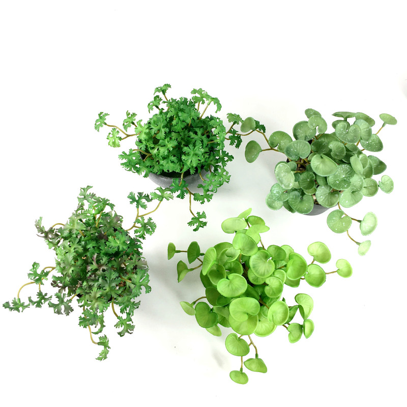 リアルな造花ブーケ手触りの多肉植物 Cilantro 葉家の装飾プラスチック緑の植物 Pennywort|undefined