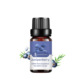 Single side: juniper Juniper berry 10ml