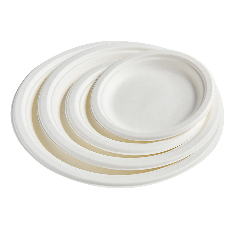 Disposable Paper Plate Paper Bowl Sugarcane Pulp Degradable Outdoor BBQ Birthday Cake Plate Thickened Bowl Disc Set