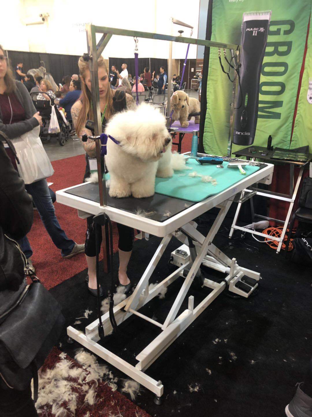Kiss FT-808 pet shop electric ultra-low lift beauty table beauty table pet cat dog large dog Golden Retriever