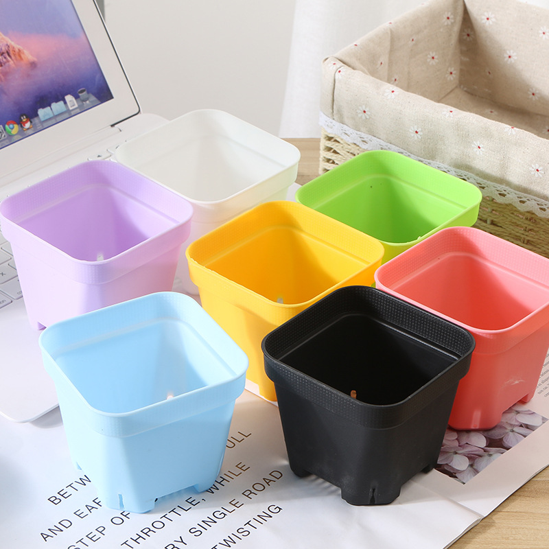 Multi-meat small square pot colorful flowerpot seedling super small square plastic flower pot 5.5cm black square cross-border hot selling