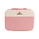 Net red LED light cosmetic bag high color value gift suitcase large capacity portable multifunctional cosmetic case wholesale