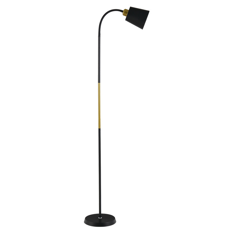 Nordic floor lamp creative living room bedroom Study LED simple modern dimmable remote control reading floor lamp