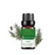 Single: cedar Cedarwood 10ml