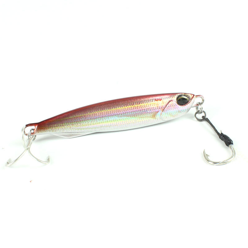 20-30-40-60g New 3D Bionic Coating Printing Lead Fish Road Iron Plate Fake Bait