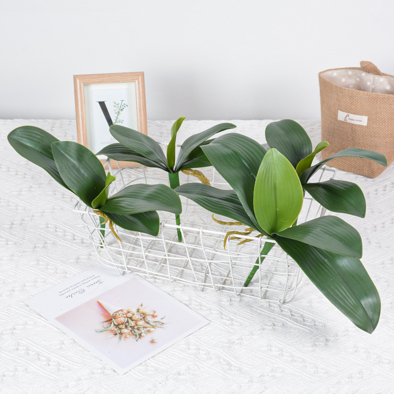 Imitation Phalaenopsis Leaf Film Feel Soft Glue Orchid Leaf Phalaenopsis Potted Fake Flower Leaves Flower-arranging Leaves