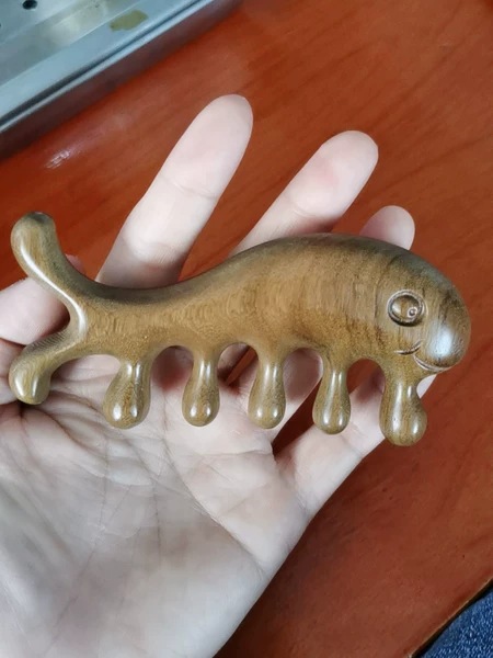 Little Whale