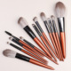 Accidental brown 12 sets of brushes