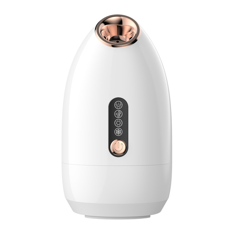 New hot and cold dual-purpose two-in-one household hot spray face steamer cold spray water replenishing instrument moisturizing spray beauty instrument