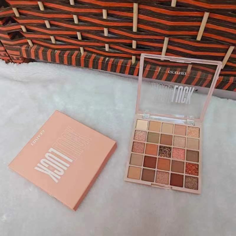 In stock 25 color eyeshadow plate pearlescent Matt earth color glitter student cheap eyeshadow