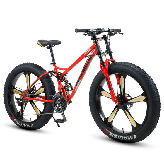 Variable Speed Off-road Beach Snow Mountain Bike Shock Absorption Adult Super Wide 4.0 Large Tire Male and Female Student Bicycle