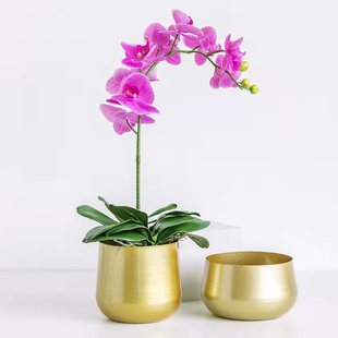 Scandinavian Light Luxury Iron Art Creative Vase Container Golden Festive Phalaenopsis Flower Pot Metal Decorative Flower Pot Wholesale