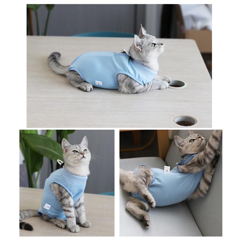 猫手術用ガウンペット猫滅菌生理パンツ回復看護母離乳舐め防止服脱落防止|undefined