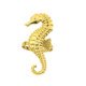 36/Seahorse