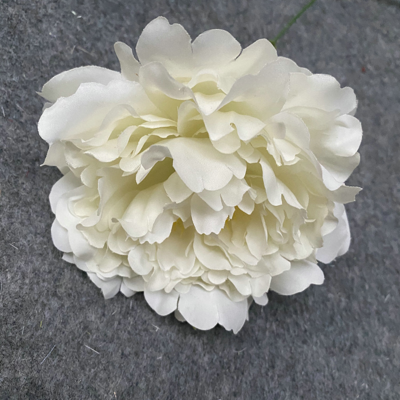 Spring color flower head milk White