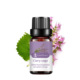 Single: Sage Clary sage 10ml