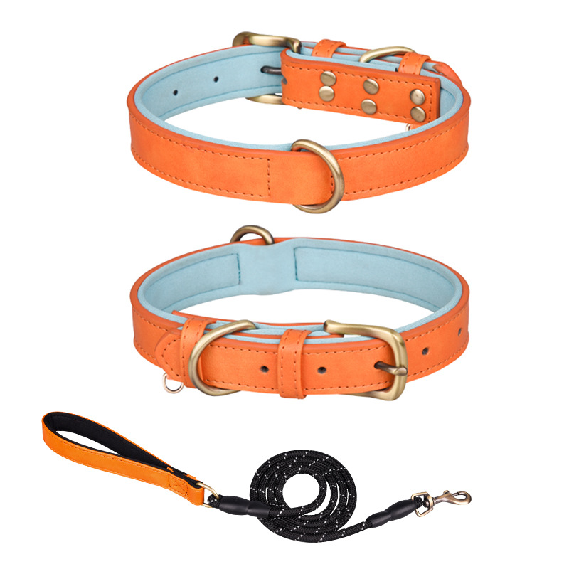Anti-lost lettering pet collar PU leather dog collar medium and large dog breathable diving cloth lined dog collar