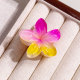 4CM rainbow (rose yellow gradient)