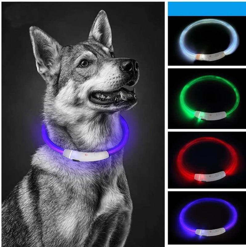 犬の光る犬の首輪ペットの夜光は犬の明かりを散歩します。|undefined
