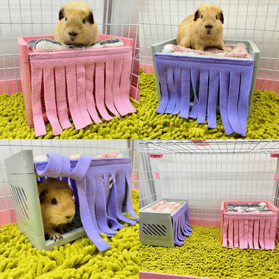 Guinea Pig Dutch Pig Corner Shelter High Bed Tassel Door Curtain