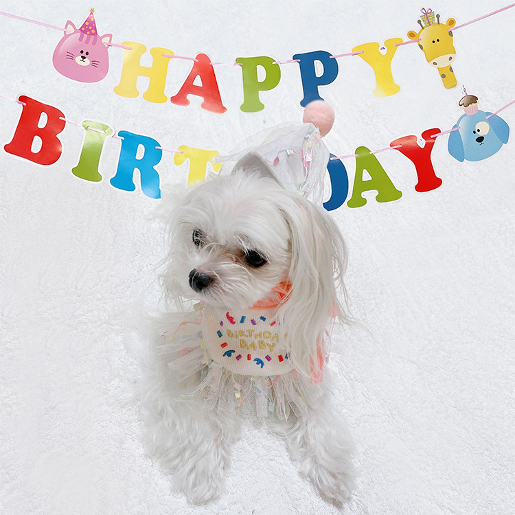 Pet cat dog happy birthday background party suit hat scarf dog bib saliva towel mesh special price