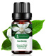 Single: gardenia gardenia 10ml