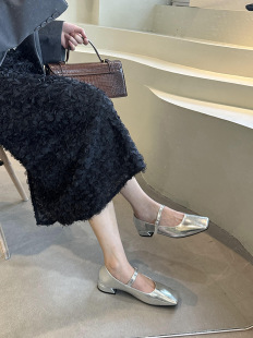 French Niche Square Toe Silver Leather Shoes Spring Low Heel Chunky Heel Shallow Mouth Mary Jane Shoes Women