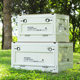 [Quality and Price Selection] Outdoor Camping Storage Box Car Trunk Storage Box Plastic Camping Wooden Cover Folding Box