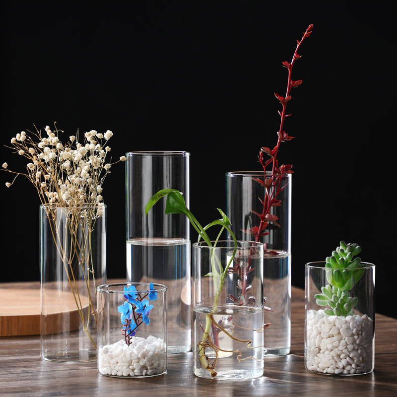 Hydroponic Plants Straight Glass Vase Creative High Borosilicate Glass Flower Pot Art Flower Vase Moss Landscape Bottle