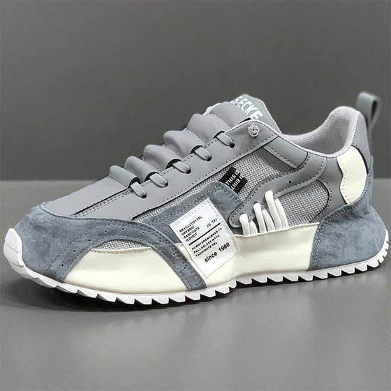 Men's Breathable New Mesh Thick Bottom Dad Forrest Gump Men's Shoes Sports Casual Increased Explosions