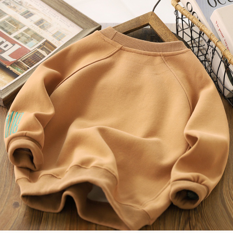 Children's Wear Boy's Sweatshirt Autumn 2025 New Long-sleeved Letter Embroidered Top Boy's Trendy Coat