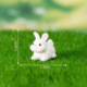 other product image