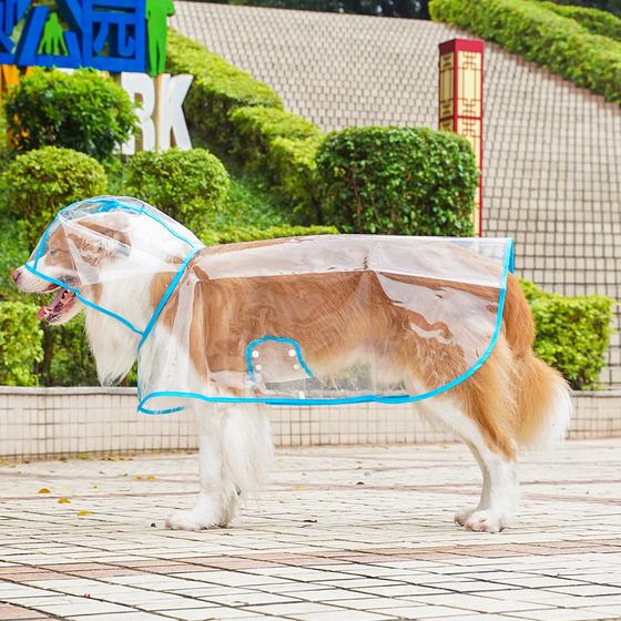 Pet Amazon cross-border Big Dog transparent outdoor raincoat golden retriever Labrador border animal dog clothes
