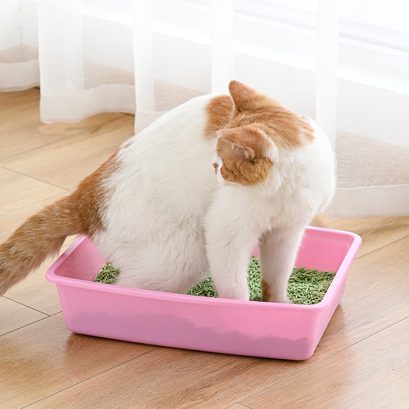 オープンスタイルのプラスチック猫トイレシャベルペット用品猫ボウル巣巣|undefined