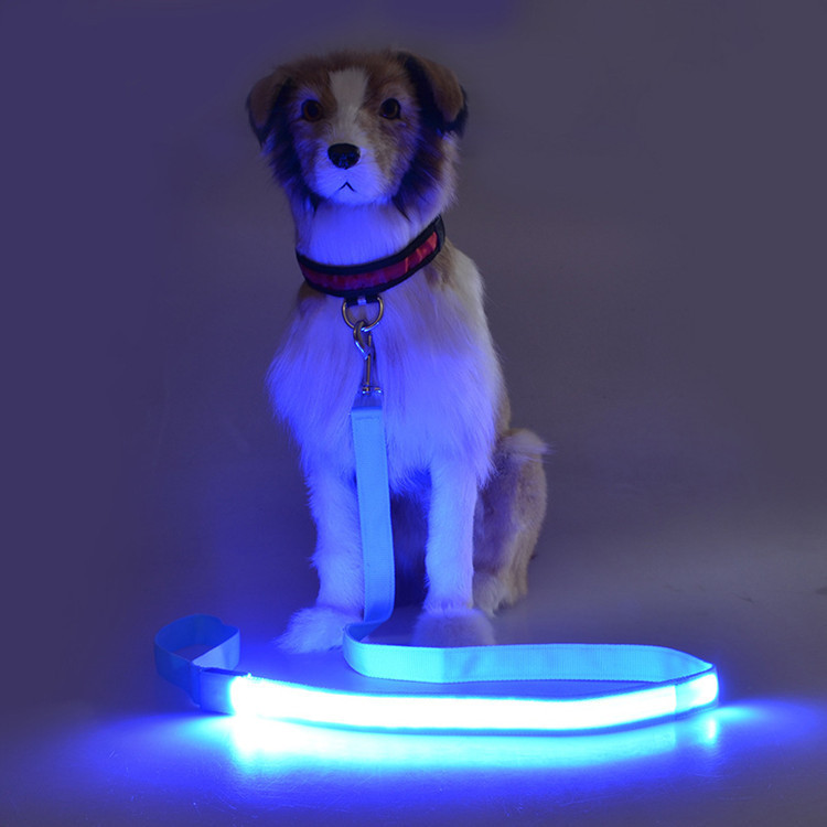 Led 点灯犬のリード USB 充電式ペットの首輪光る犬ロープ点灯リード夜間の歩行の安全のため|undefined