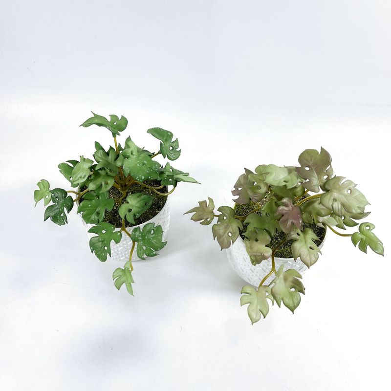 リアルな造花ブーケ手触りの多肉植物 Cilantro 葉家の装飾プラスチック緑の植物 Pennywort|undefined