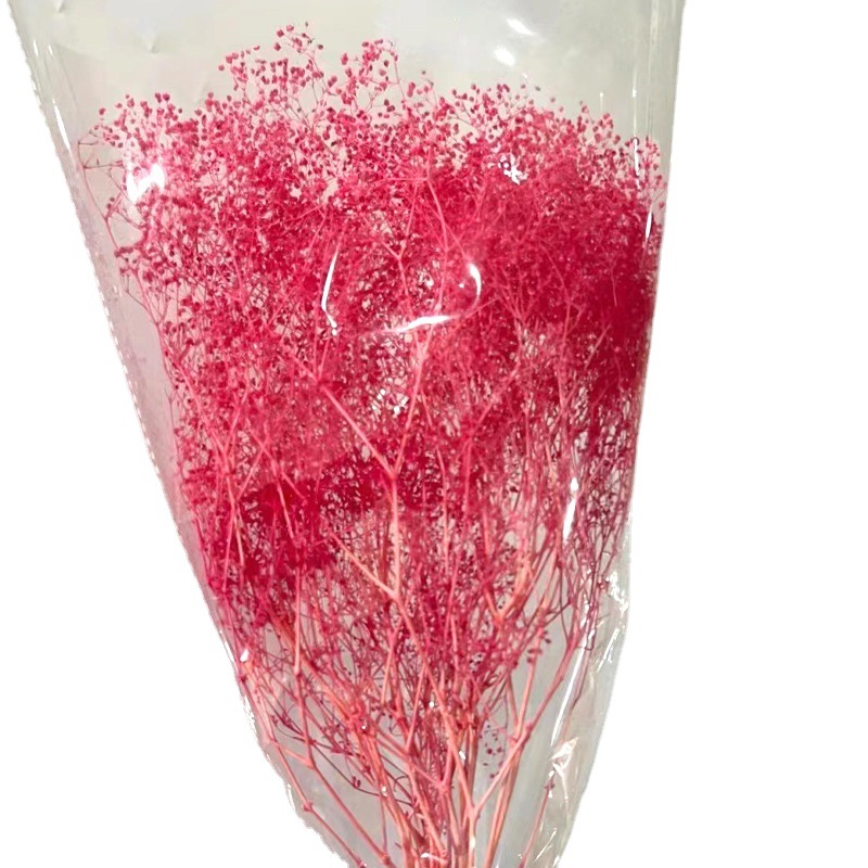 Immortal Millions of Stars Dried Flowers Wholesale Natural Plants Gypsophila diy Glass Cover Crafts Matching Materials