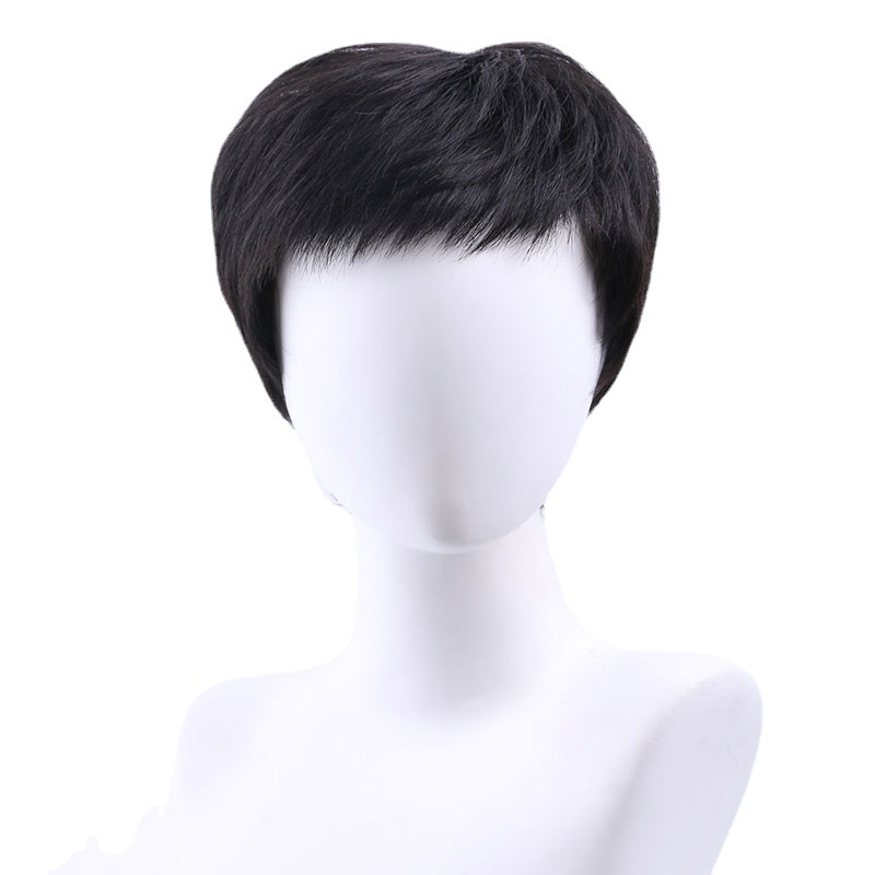 Real wig men's short hair middle-aged and elderly men's wig short straight hair real hair wig head cover factory wholesale