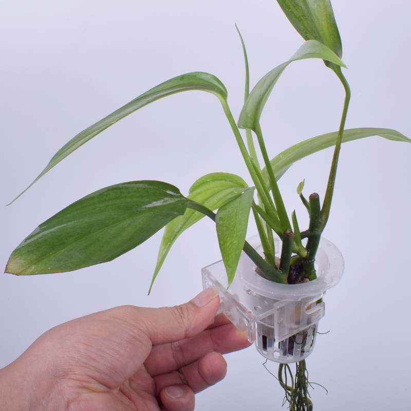 水草定植杯山崎桂定植壁挂けカップ水上草植付ラック調節可能水性水草カップ|undefined