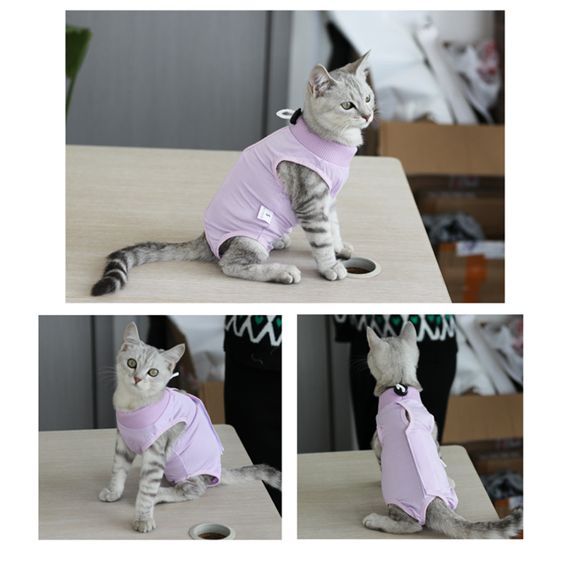 猫手術用ガウンペット猫滅菌生理パンツ回復看護母離乳舐め防止服脱落防止|undefined