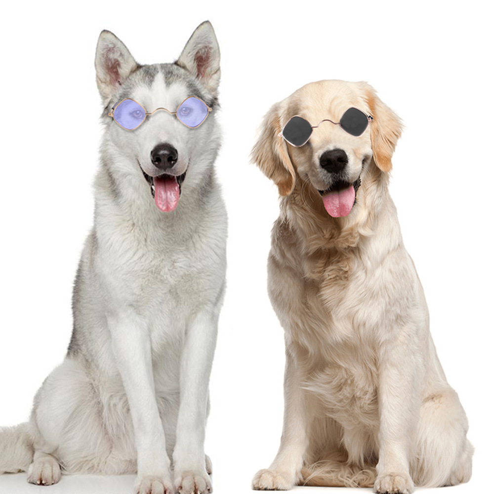 T factory direct dog glasses cute diamond color jewelry teddy sunglasses personality funny dog eyes