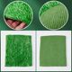 Green special adhesive [popular explosions]]